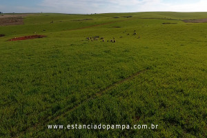 OS ARAGANOS   HERANÇAS 1984.00_00_49_10.Quadro002_6eef8d3b363304e36d4cf9c49d4c0fb6911dd051.jpg